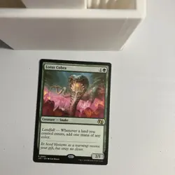 Lotus Cobra Foundations Jumpstart Regular - Image 1