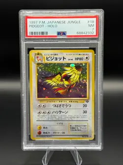 PSA 7 Pidgeot Pokemon Jungle Holo No 016 (Japanese) - Image 1