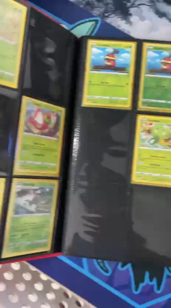 Pokemon - Crown Zenith Binder Bundle - V/VSTAR etc - Over 500 Cards - Read Desc - Image 2