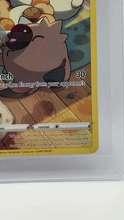 Pokemon TCG Rockruff Full Art TG07/TG30 Ultra Rare Holo Silver Tempest - Image 4