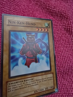 Nin-Ken Dog - Nin-Ken-Hund - DR1-DE164 - YuGiOh! - Image 3
