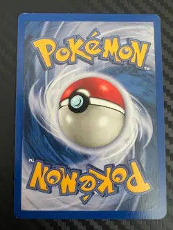 Pokemon TCG Sunkern 1st Edition 83/105 Common Neo Destiny Vintage VLP - Image 2