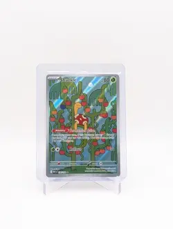 Shuckle 136/132 - Mega Evolution Pokemon Illustration Rare Holo NM - Image 1