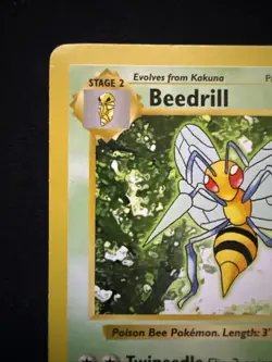 Beedrill - Shadowless - Base Set - 17/102 - Rare - Pokemon - LP - Image 5