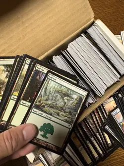 Magic the Gathering Bulk Land Cards - Image 3