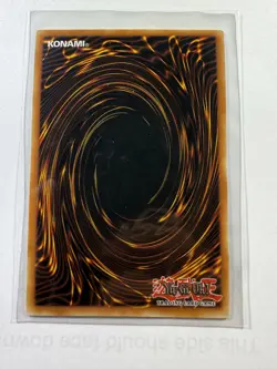 Dark Magician 1st Ed. YuGiOh Gold Series: Maximum Gold #MAGO-EN002 NM - Image 2