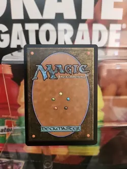 1 x Arachnogenesis - Foil - Borderless - Marvel Universe - NM-Mint - MTG - Image 2