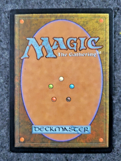 Bee Sting Portal Never Played Magic the gathering MTG (DS3D1L1) - Image 2