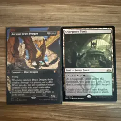 Ancient Brass Dragon (Borderless) and Overgrown Tomb Guilds of Ravnica Regular - Image 1