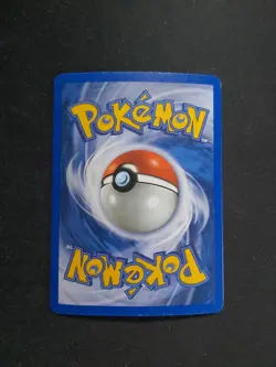 Ursaring 110/144 Reverse Skyridge 2003 ENG Common Pokemon Wizard of the Coast - Image 4