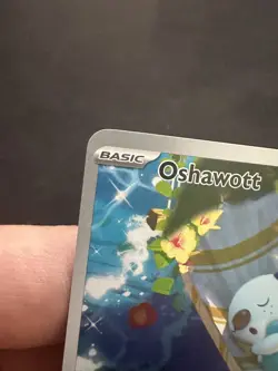 Pokemon TCG - SV: White Flare 105/086 - Oshawott Illustration Rare - NM - Image 2