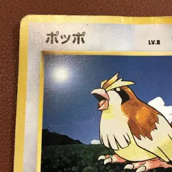 Pidgey #016 Pidgeot #018 Holo 1996 Pokemon TCG Japanese card Nintendo JP5159 - Image 2