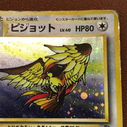 Pidgey #016 Pidgeot #018 Holo 1996 Pokemon TCG Japanese card Nintendo JP5159 - Image 4