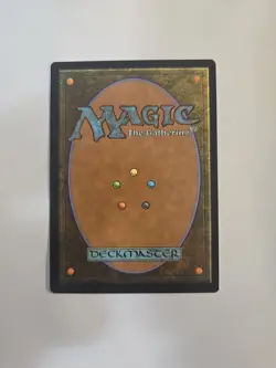 Felidar Retreat Foundations Regular - Image 3