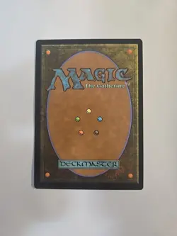 Felidar Retreat Foundations Regular - Image 4