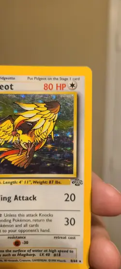 Pokemon TCG Pidgeot Jungle 8/64 Holo Unlimited Holo Rare - Image 3