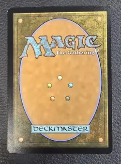 MTG English Adarkar Wastes (Borderless) NM Foil Dominaria United Magic Card - Image 2