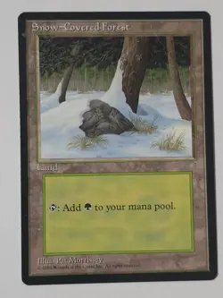 Snow-Covered Forest Ice Age Regular - Image 1