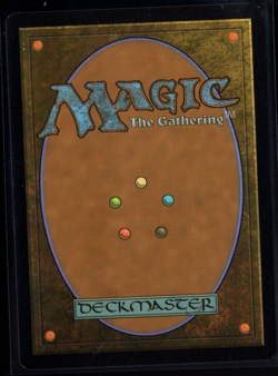 Archivist of Oghma 553 Extended Art Rare Non Foil Baldur's Gate Magic TCG NM - Image 2