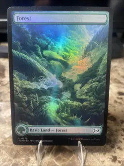 MTG Tarkir Dragonstorm Forest 0276 (X4 Foil) Land Card - Image 1
