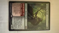 MTG Magic the Gathering Wilds of Eldraine Questing Druid Card #234 - Image 1
