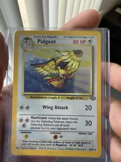 Pokemon Pidgeot TCG Jungle Holo Card 8/64 Unlimited Holo Rare - Image 1
