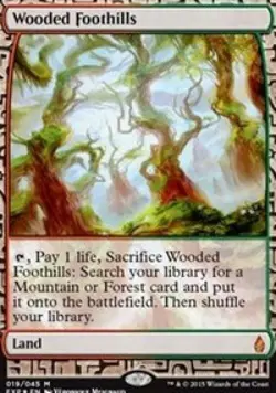 MTG English Wooded Foothills Light Play Foil Zendikar Expeditions - Image 1