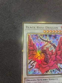 Yugioh Black Rose Dragon MGED-EN026 Premium Gold Rare 1st Edition NM - Image 3