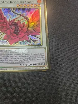 Yugioh Black Rose Dragon MGED-EN026 Premium Gold Rare 1st Edition NM - Image 5
