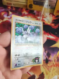 Pokemon Karte Card Erikas Dratini Unp Corocoro Promo Gym Glossy Wotc japanese VG - Image 4