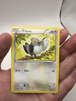 BW15 Pidove - Black & White Promo Card Pokemon TCG Toys-R-Us Mystery Egg - Image 3