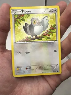 BW15 Pidove - Black & White Promo Card Pokemon TCG Toys-R-Us Mystery Egg - Image 5