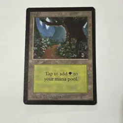 Forest (B) Limited Edition Beta - Magic the Gathering MtG - LP - Image 1