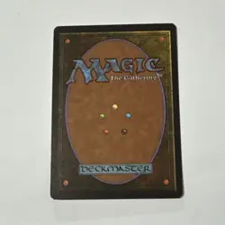 Forest (B) Limited Edition Beta - Magic the Gathering MtG - LP - Image 2