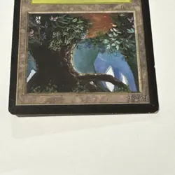 Forest (B) Limited Edition Beta - Magic the Gathering MtG - LP - Image 4