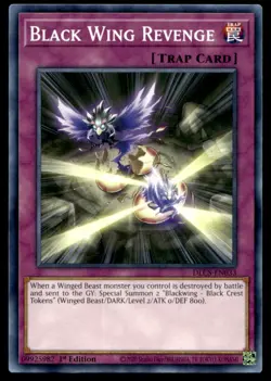 Black Wing Revenge Dragons of Legend: The Complete Series DLCS-EN033 MP YuGiOh T - Image 1