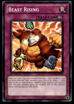 Beast Rising Duelist Revolution DREV-EN074 MP YuGiOh TCG | Buy 10 Get 10 Free - Image 1