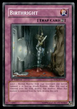 Birthright 5D's 2008 Starter Deck 5DS1-EN040 MP YuGiOh TCG | Buy 10 Get 10 Free - Image 1