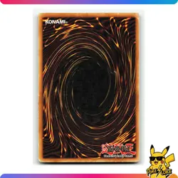 Dark Paladin - DMG-001 - Limited Edition - Yugioh Card TCG - [LP] - Image 2