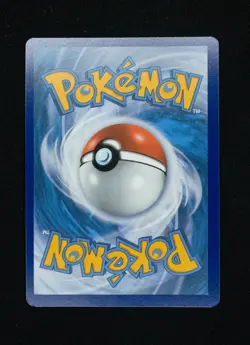 Pikachu SWSH039 Holo Black Star Promo Card Pack Fresh NM Condition - Image 2