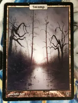 Swamp MTG Unhinged Common Land Full-Art Heavily Played x1 JS5 - Image 1