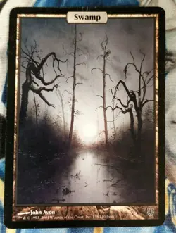 Swamp MTG Unhinged Common Land Full-Art Heavily Played x1 JS18 - Image 1