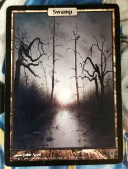 Swamp MTG Unhinged Common Land Full-Art Heavily Played x1 JS6 - Image 1