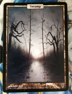 Swamp MTG Unhinged Common Land Full-Art Heavily Played x1 JS6 - Image 2