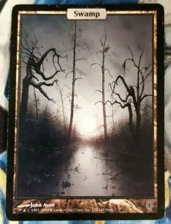 Swamp MTG Unhinged Common Land Full-Art Heavily Played x1 JS12 - Image 1