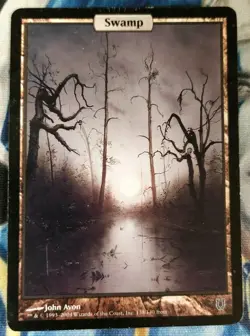 Swamp MTG Unhinged Common Land Full-Art Heavily Played x1 JS13 - Image 1