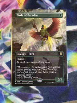 Birds of Paradise (Borderless) Commander: Bloomburrow Regular - Image 1