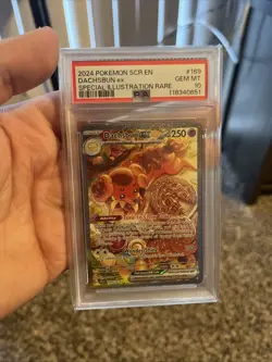 Pokemon TCG Stellar Crown Dachsbun EX 169/142 psa 10 - Image 1