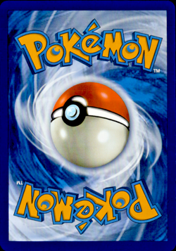 Pokemon Shining Fates Pokemon TCG Kyogre - Image 2