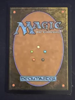 1x Lion Sash (026) Kamigawa: Neon Dynasty LP MTG Magic the Gathering x1 MKE - Image 2